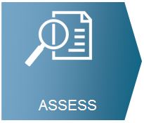 Assess-icon