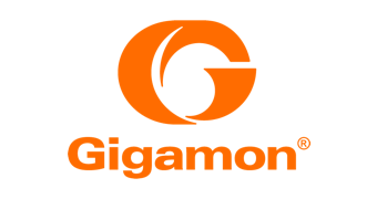 Dasher is an IT solution provider of Gigamon products and solutions.